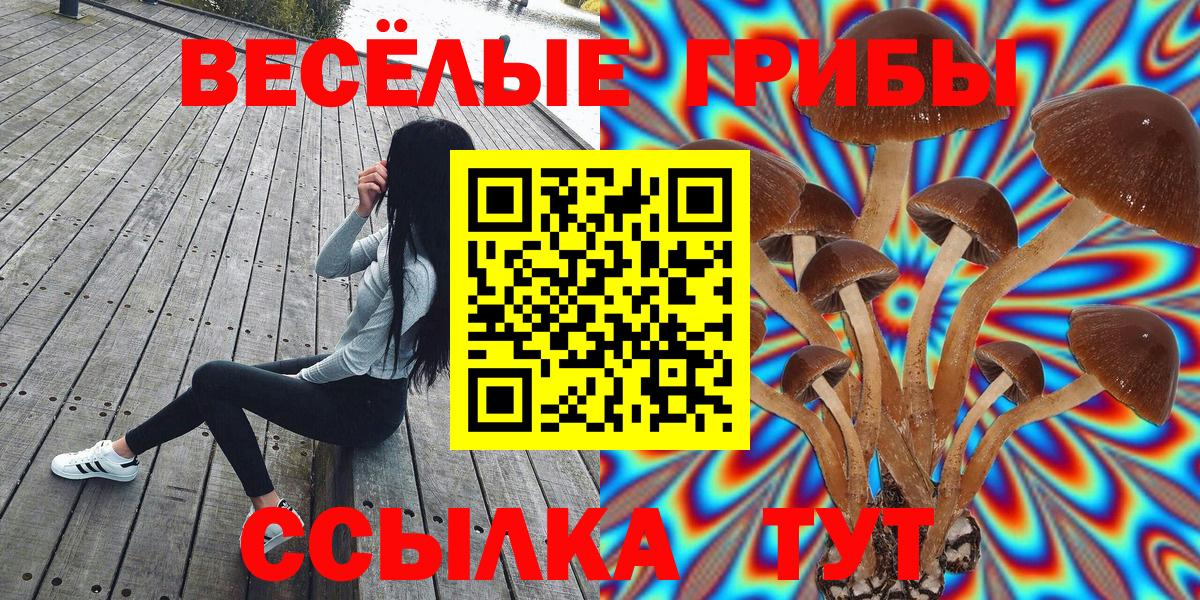 Галлюциногенные грибы Psilocybine cubensis  Вход с VPN  Псилоцибиновые грибы Magic Shrooms  как найти наркотики  Фролово 